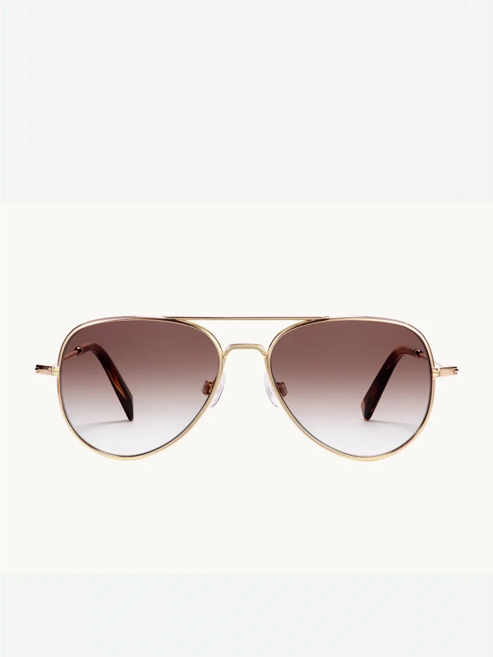 NWT Warby Parker Raider Sunglasses Polished Gold Frame